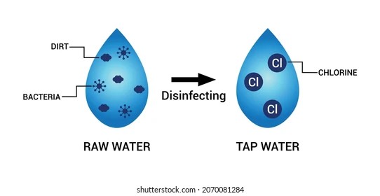3 Effective Methods to Remove Chlorine from Water