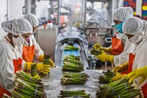 Image about women working in the food factory